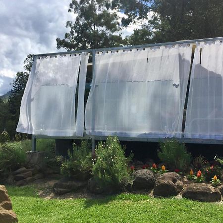 ホテル Tuckers Retreat Canungra エクステリア 写真
