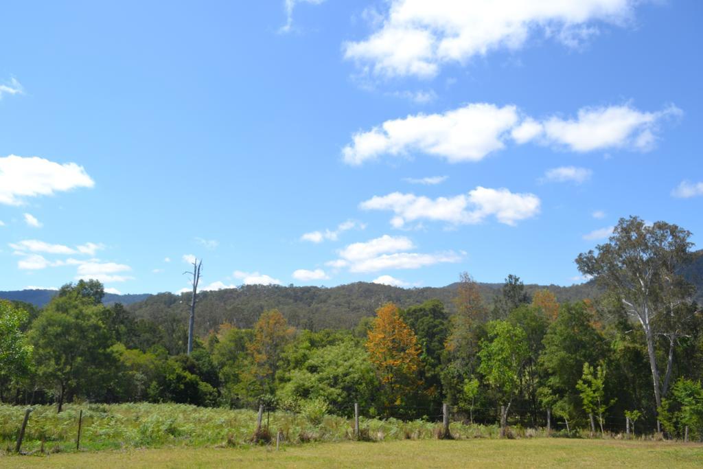 ホテル Tuckers Retreat Canungra エクステリア 写真