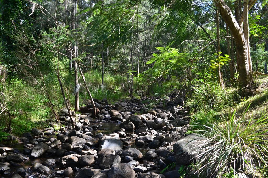 ホテル Tuckers Retreat Canungra エクステリア 写真