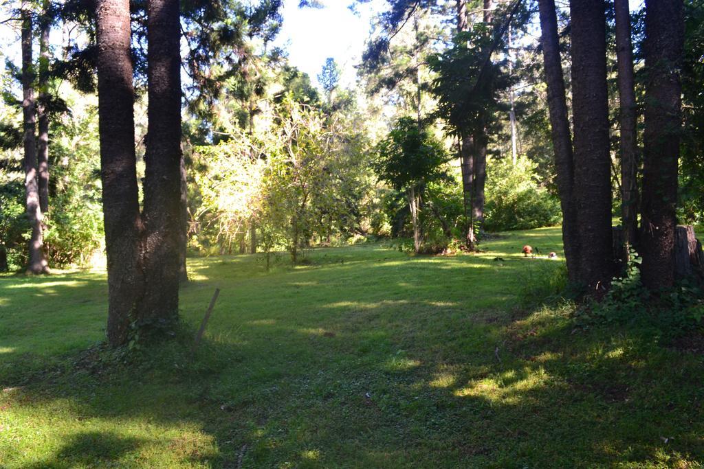 ホテル Tuckers Retreat Canungra エクステリア 写真