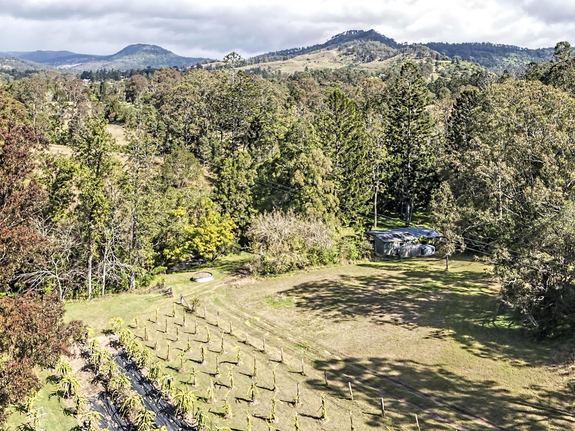 ホテル Tuckers Retreat Canungra エクステリア 写真