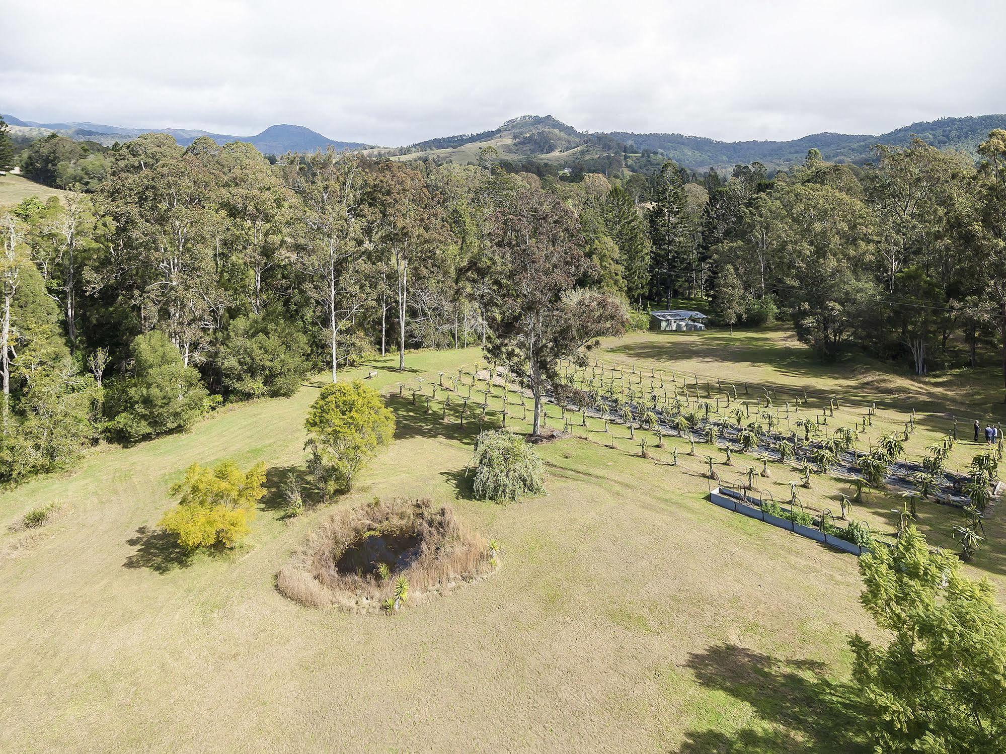 ホテル Tuckers Retreat Canungra エクステリア 写真