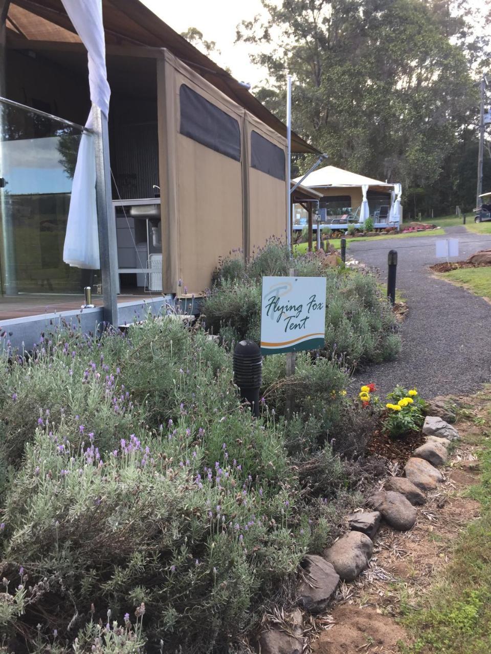 ホテル Tuckers Retreat Canungra エクステリア 写真